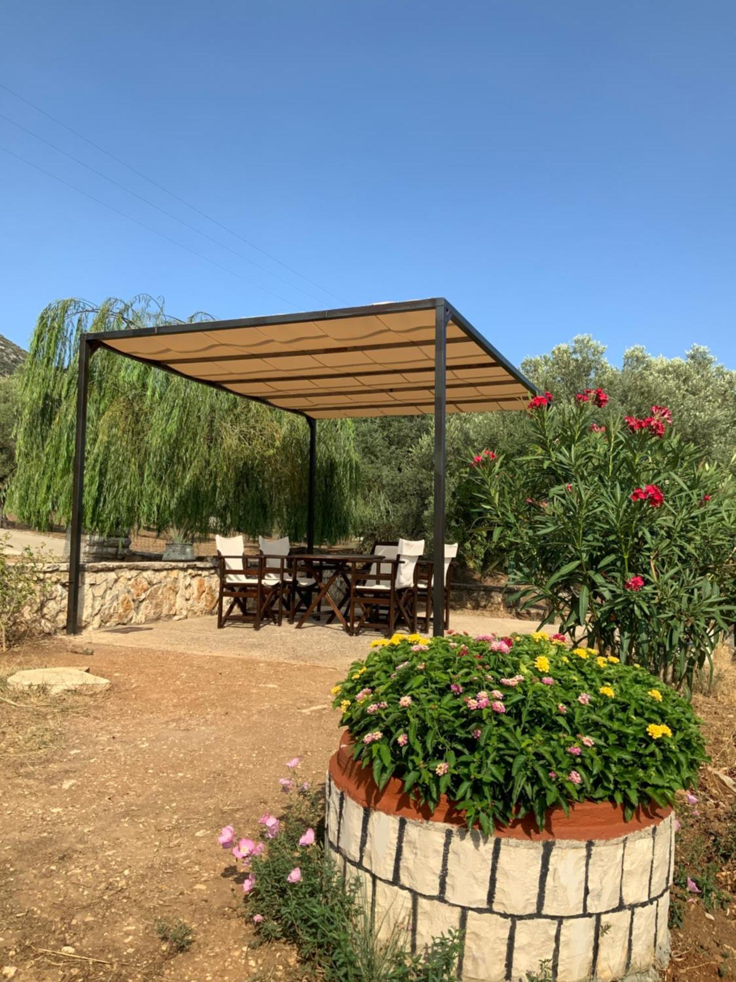 Villa Gloria Plataria Igumenica Exteriér fotografie
